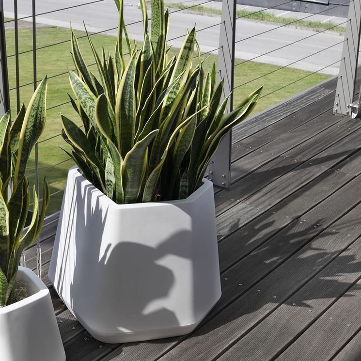 scegliere i vasi per piante da esterno - Scelta dei Vasi ...